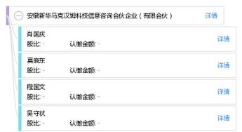 安徽新華馬克漢姆科技信息咨詢合伙企業(yè) 聚焦信息技術(shù)咨詢的專業(yè)服務(wù)