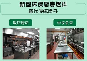 植物油燃料 未來能源的綠色引擎——技術(shù)推廣與服務(wù)深度解析