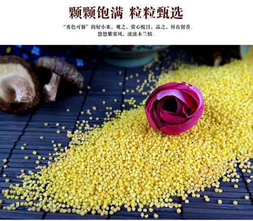 方順 木蘭貢米禮盒600g 3一級小米新米五谷雜糧河北承德特產