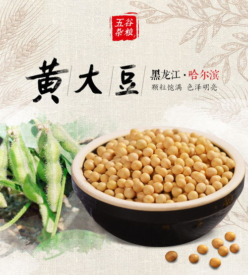 一粒黃豆的千年之旅 東北原產地的舌尖饋贈